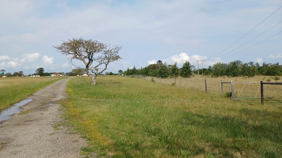 Commercial Property for Sale in Bathurst Rural Eastern Cape